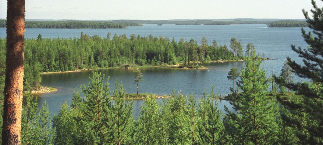 Озеро Маслозеро Медвежьегорского района