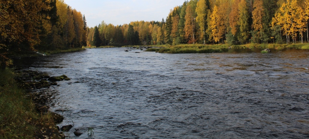 Река Вама в Пудожском районе