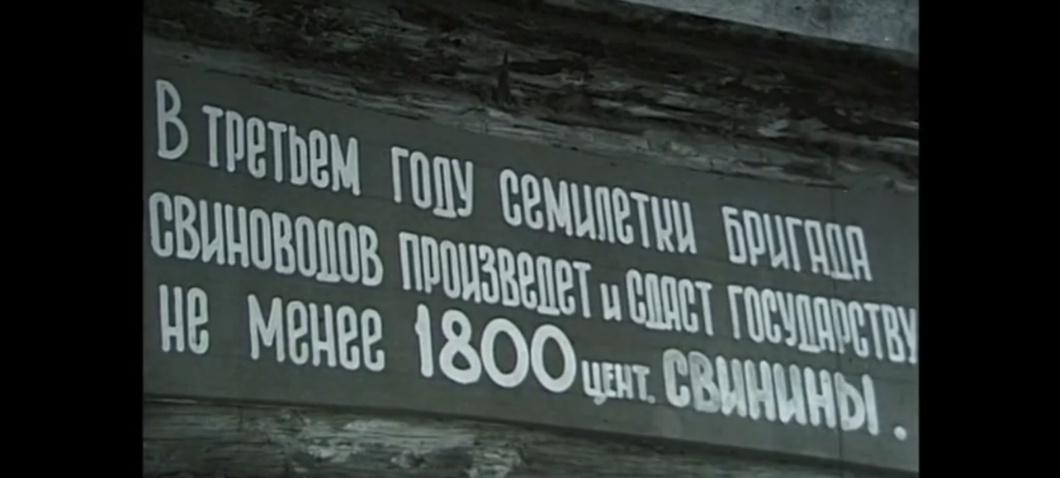 Киножурнал «Советская Карелия». Июнь 1961 года.
