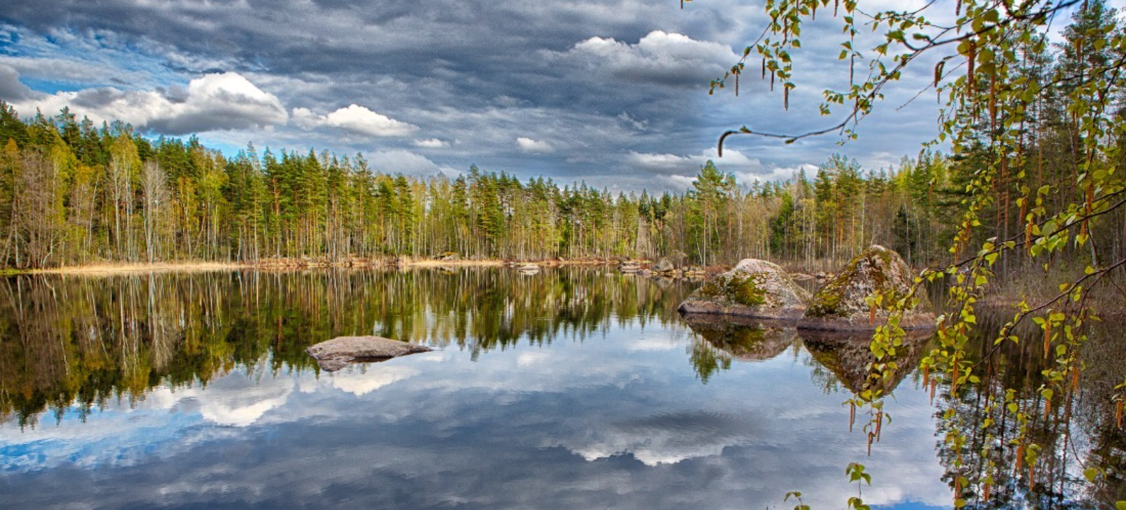 Карельский перешеек фото