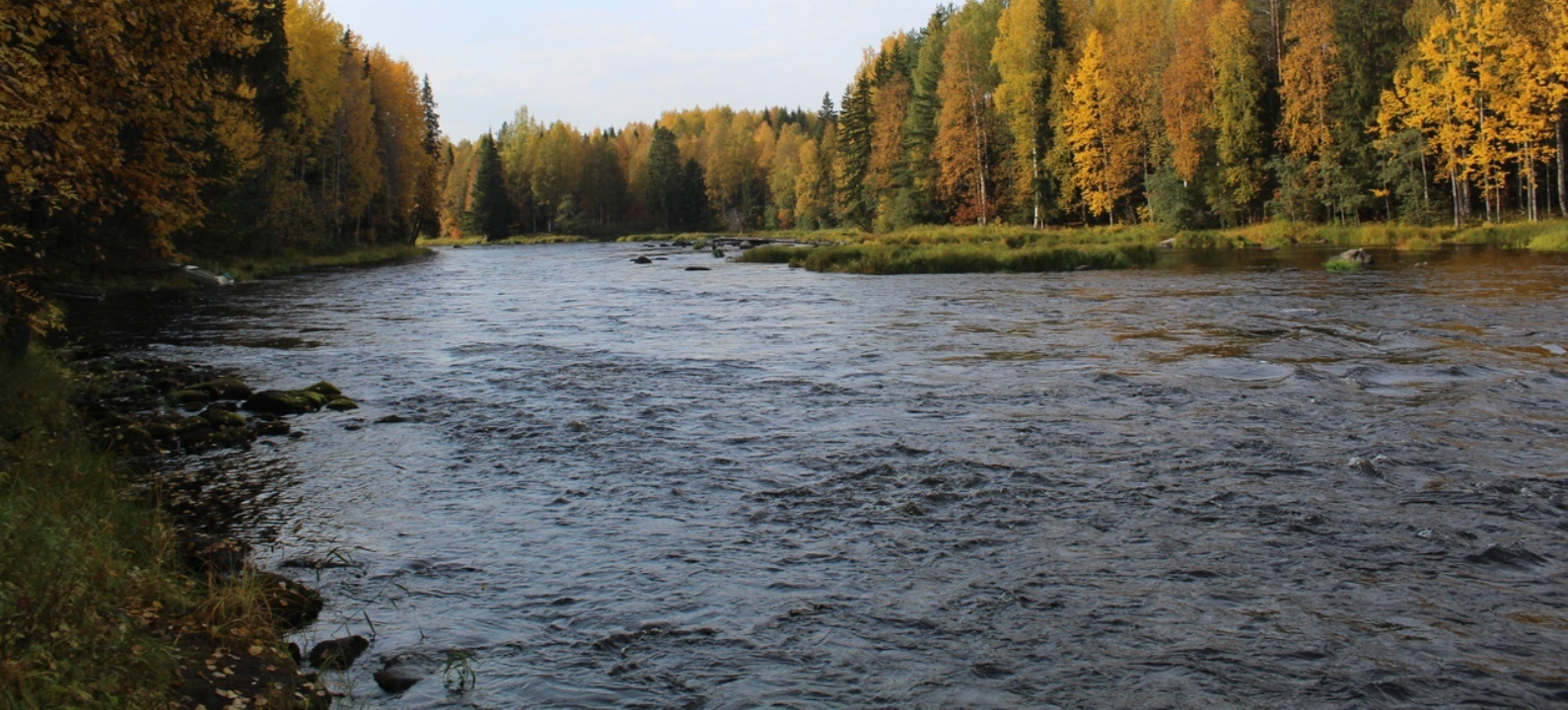 Река Водла в Карелии