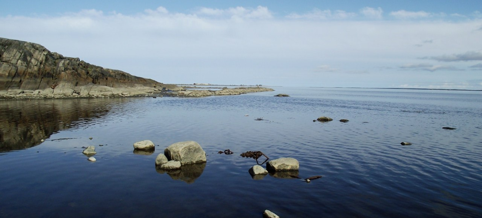 Белое море на карте (где находится), отдых в Карелии и температура воды в Белом  море: соленость, обитатели